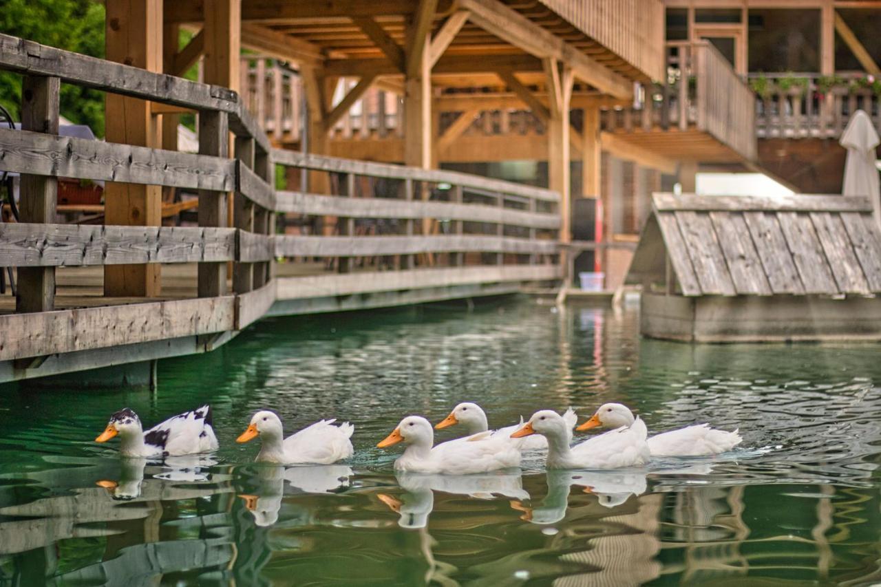 Slovenia Eco Resort Stahovica Exterior photo