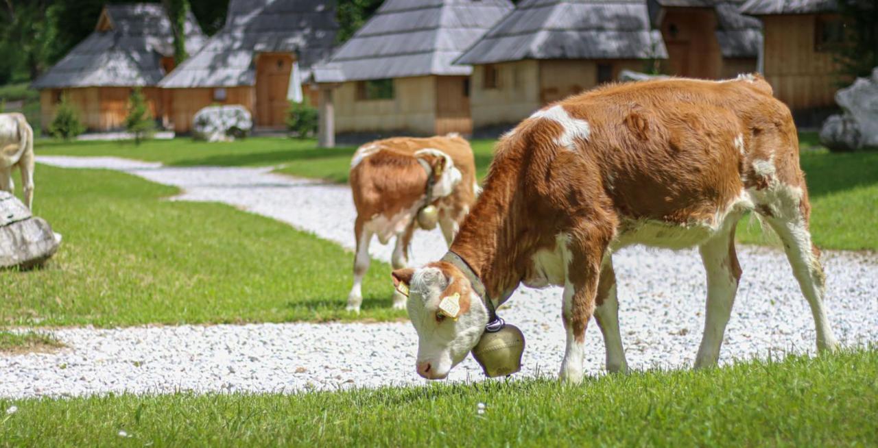 Slovenia Eco Resort Stahovica Exterior photo